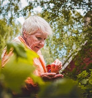Elderly lady in her garden looking at flowers and plants
