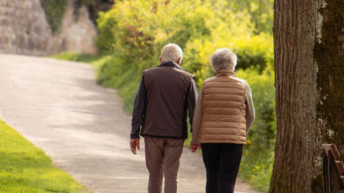 Older couple walking hand in hand through a park