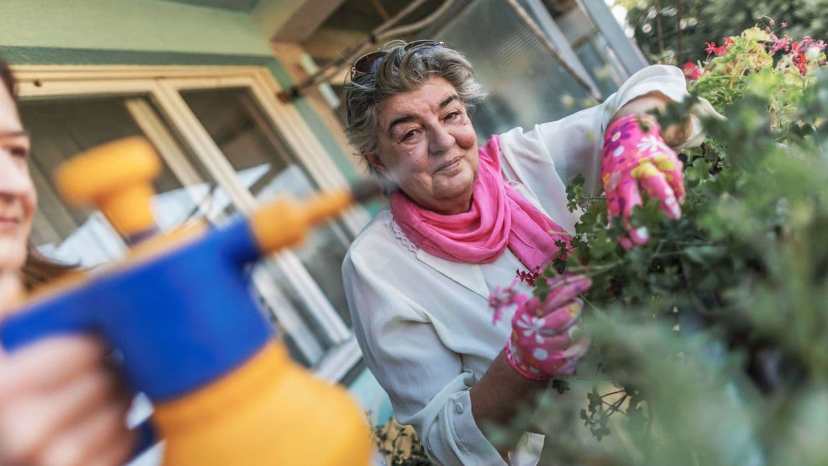 Older woman gardening at waist height