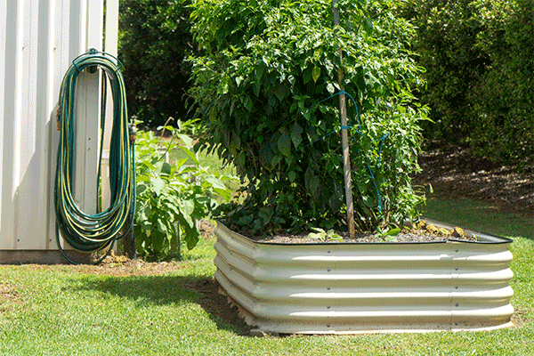 Raised garden bed made of corrugated iron