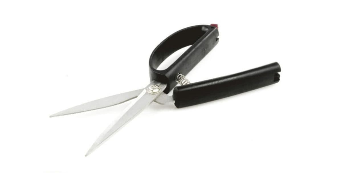 Scissors with a spring between the handles for easy opening and closing