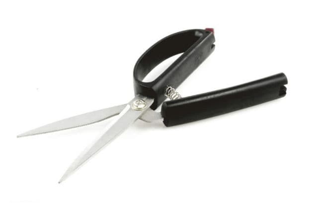 Scissors with a spring between the handles for easy opening and closing