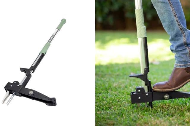A weed puller and a gardener using one on grass