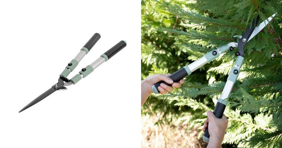 Hedge shearers with adjustable handles and one being used to trim a tree