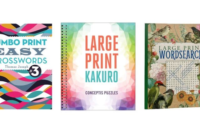 3 large print puzzle books