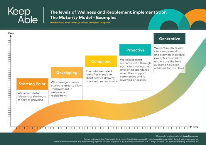 maturity model examples in wellness and reablement strategies